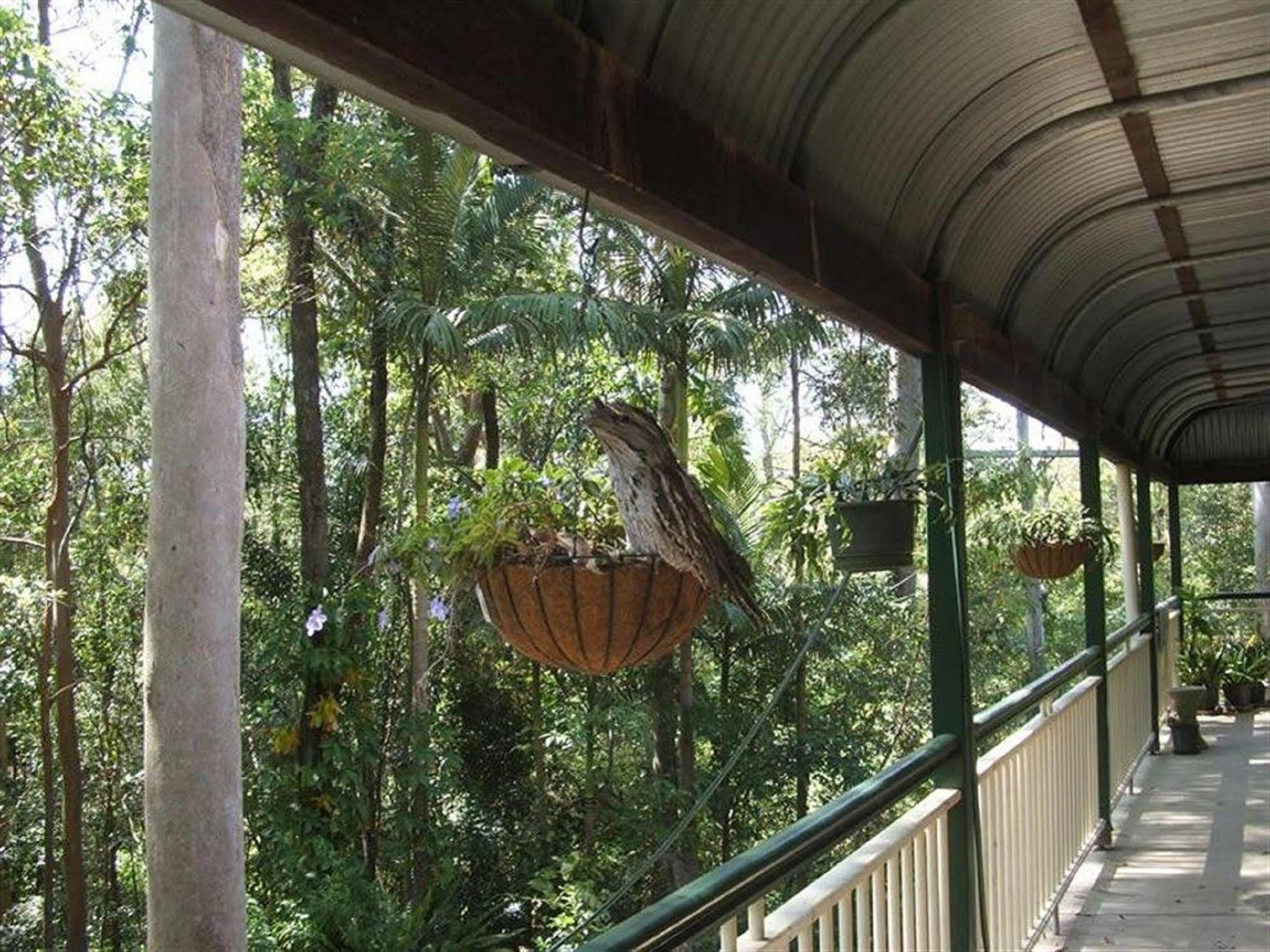 Bed & Breakfast Rumbalara Gold Coast